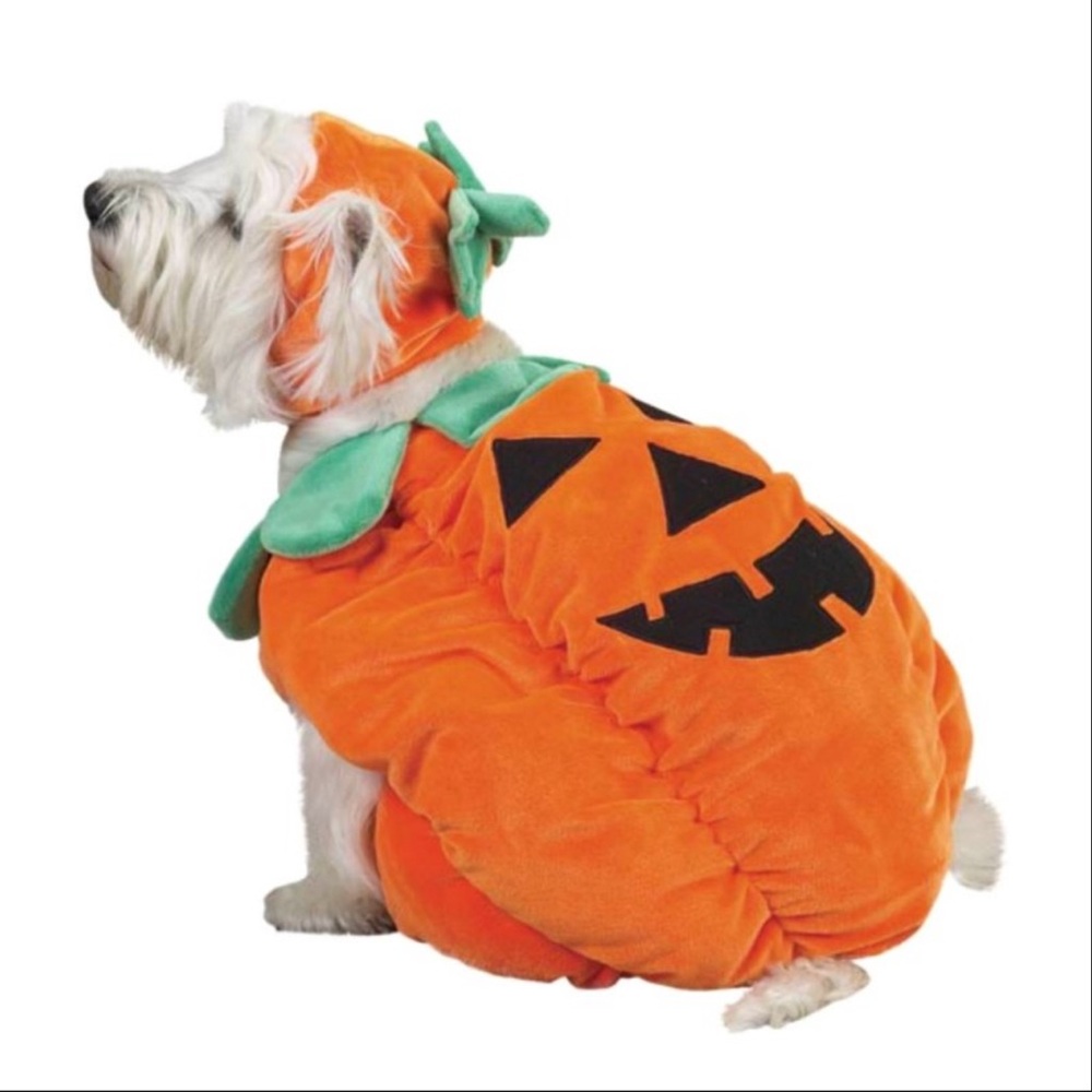 ZACK & ZOEY pumpkin pooch Dog costume Size SX